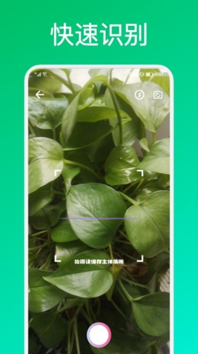 識(shí)花君植物識(shí)別截圖0