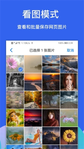 Alook瀏覽器擴展插件 v9.2 安卓版截圖3